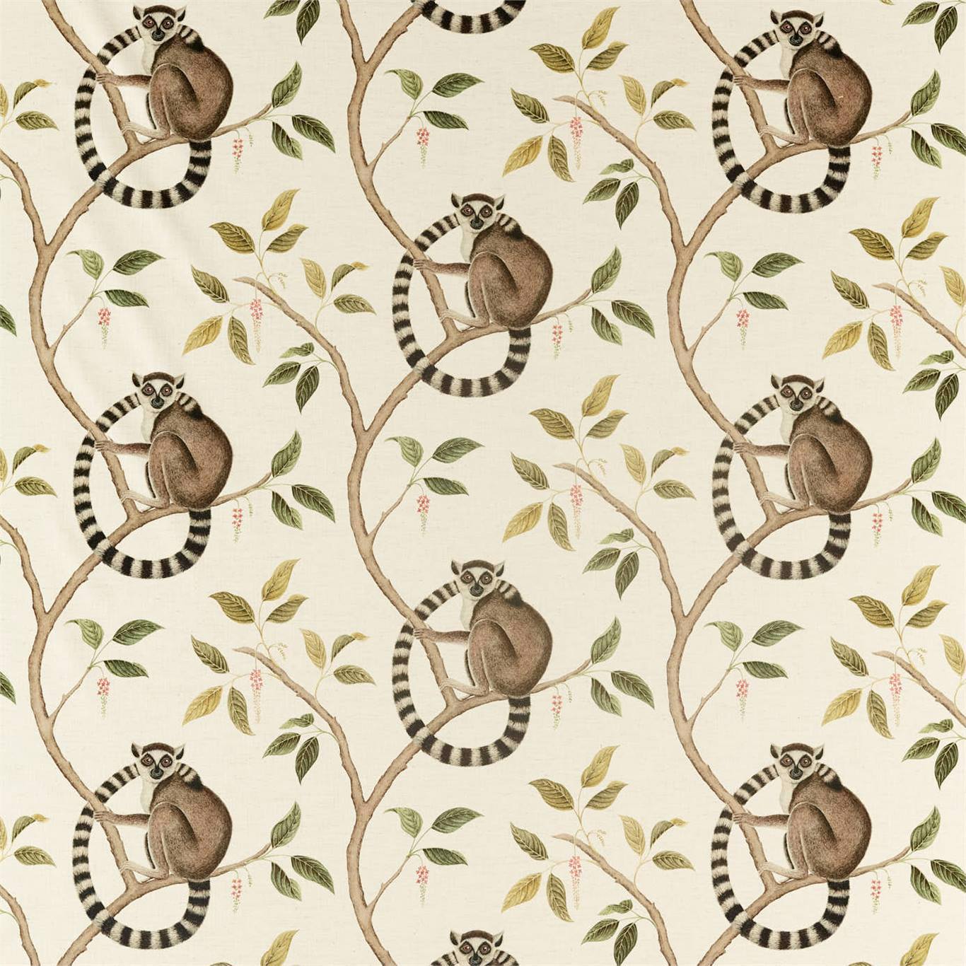 Sanderson Ringtailed Lemur Olive 226581 Fabric Sample DGLA226581