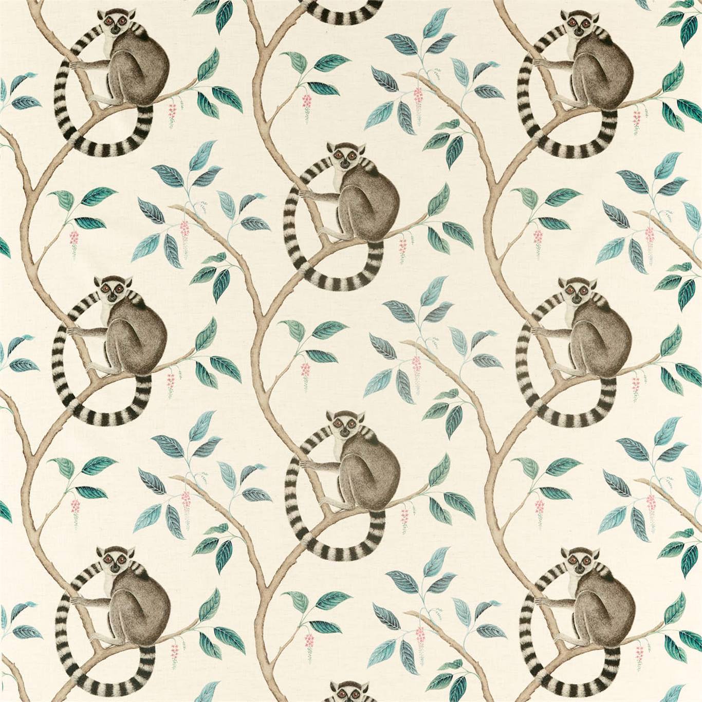 Sanderson Ringtailed Lemur Grey 226582 Fabric Sample DGLA226582