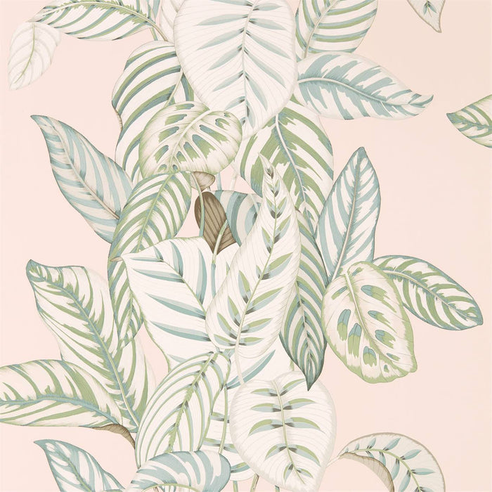 Sanderson Calathea Orchid/Eucalyptus 216632 Wallpaper Sample DGLW216632