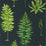 Sanderson Fernery Botanical Green/Charcoal 216634 Wallpaper Sample DGLW216634