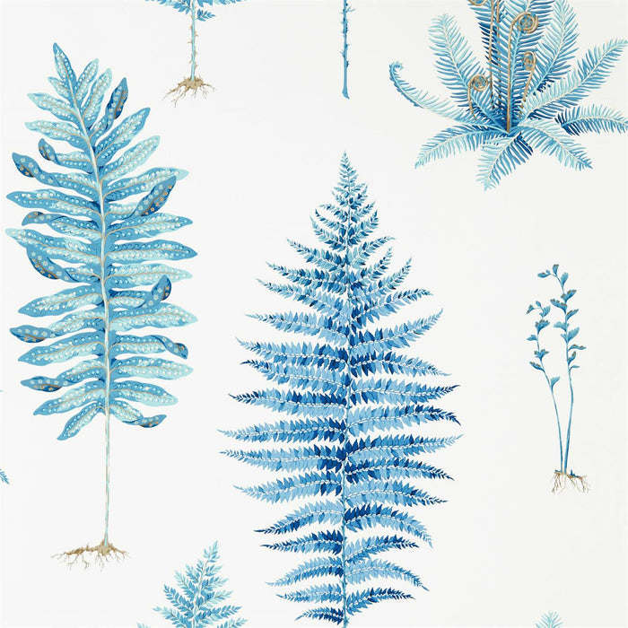 Sanderson Fernery China Blue 216635 Wallpaper Sample DGLW216635