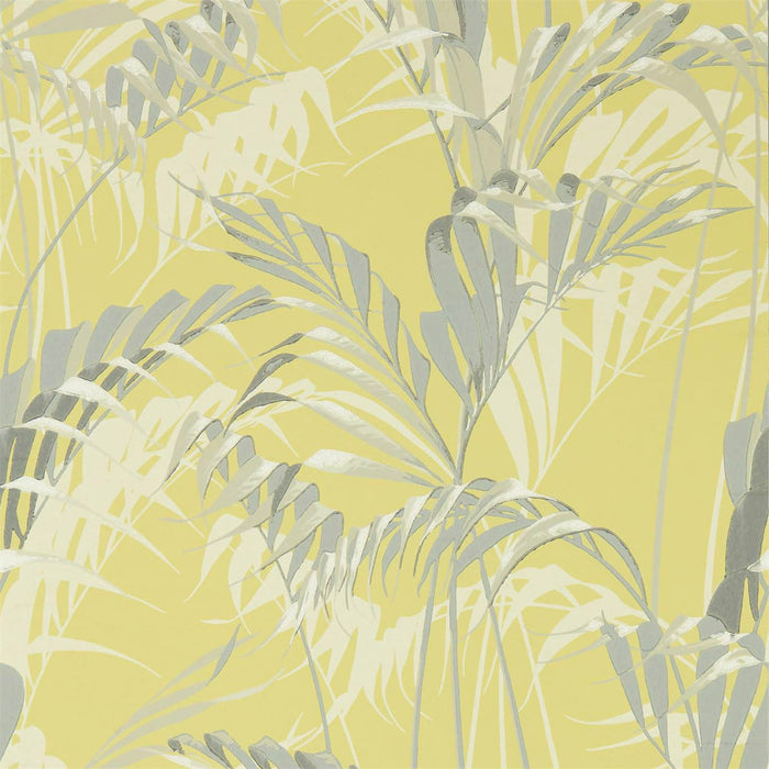 Sanderson Palm House Chartreuse/Grey 216642 Wallpaper Sample DGLW216642