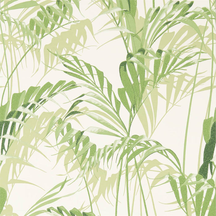 Sanderson Palm House Botanical Green 216643 Wallpaper Sample DGLW216643