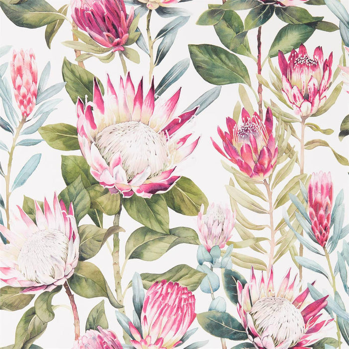 Sanderson King Protea Rhodera/Cream 216646 Wallpaper Sample DGLW216646