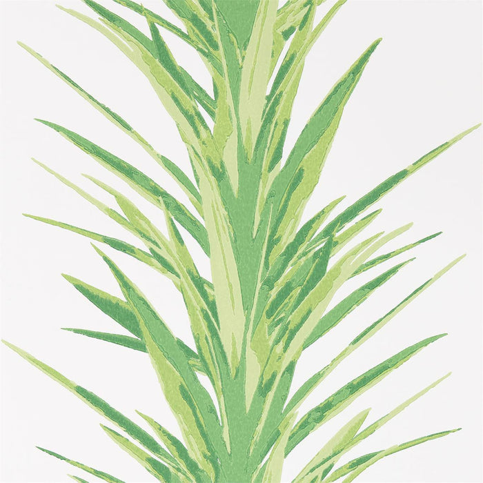 Sanderson Yucca Botanical Green 216649 Wallpaper Sample DGLW216649