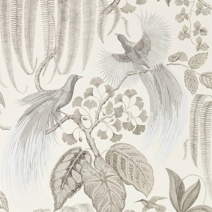 Sanderson Bird of Paradise Linen 216652 Wallpaper Sample DGLW216652