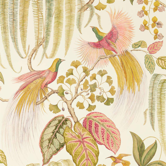 Sanderson Bird of Paradise Olive 216653 Wallpaper Sample DGLW216653