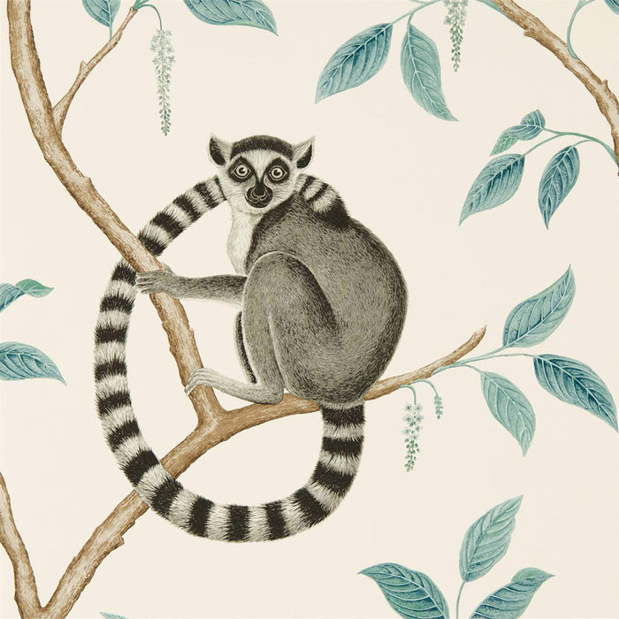 Sanderson Ringtailed Lemur Stone/Eucalyptus 216665 Wallpaper Sample DGLW216665