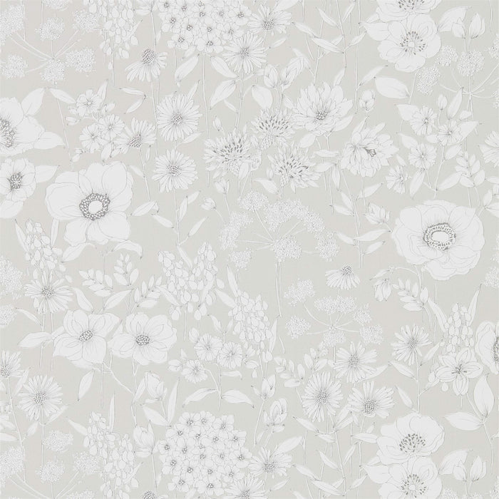 Sanderson Maelee Dove 216350 Wallpaper Sample DHPO216350