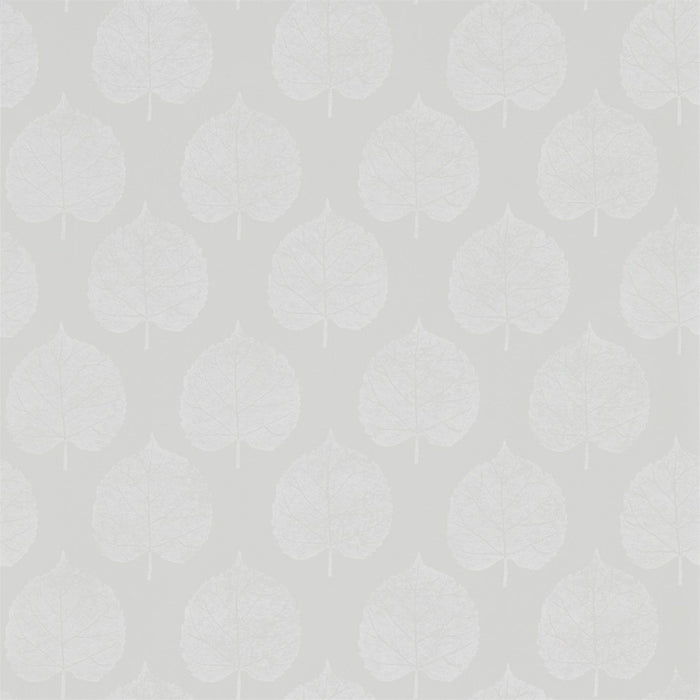 Sanderson Lyme Leaf Dove 216384 Wallpaper Sample DHPO216384