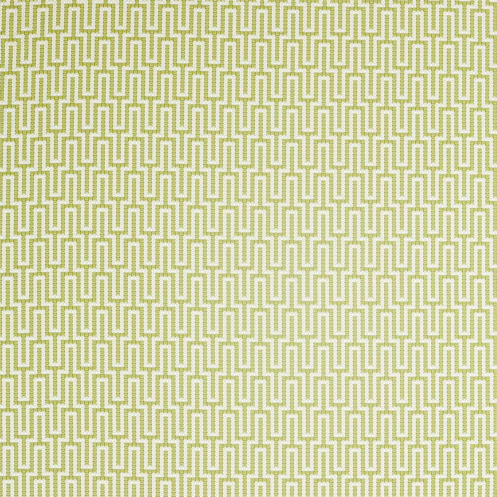 Sanderson Linnean Lime 236785 Fabric Sample DLNC236785