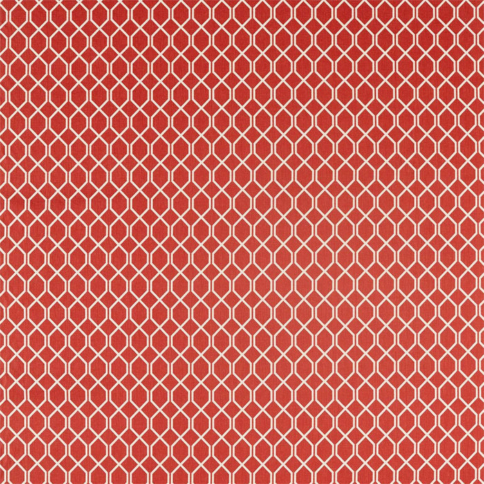 Sanderson Botanic Trellis Bengal Red 236788 Fabric Sample DLNC236788