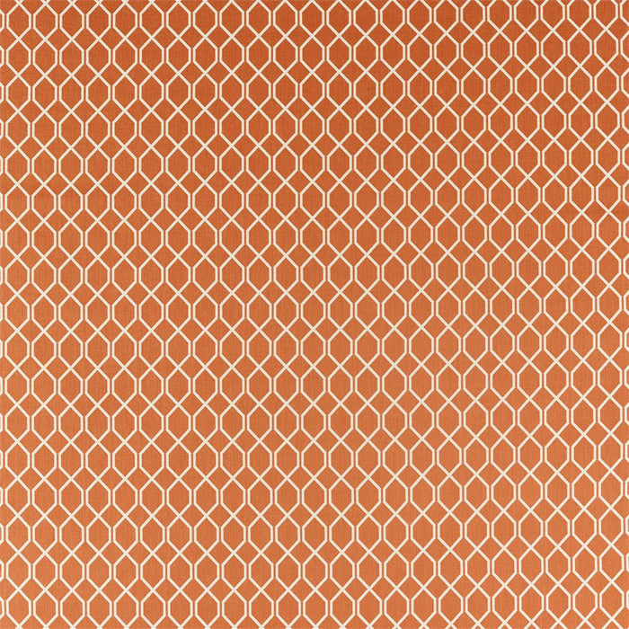 Sanderson Botanic Trellis Papaya 236791 Fabric Sample DLNC236791