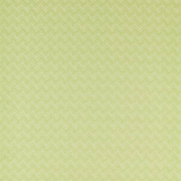 Sanderson Nelson Lime 236800 Fabric Sample DLNC236800