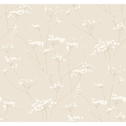 York Enchanted Cream Wallpaper DN3708