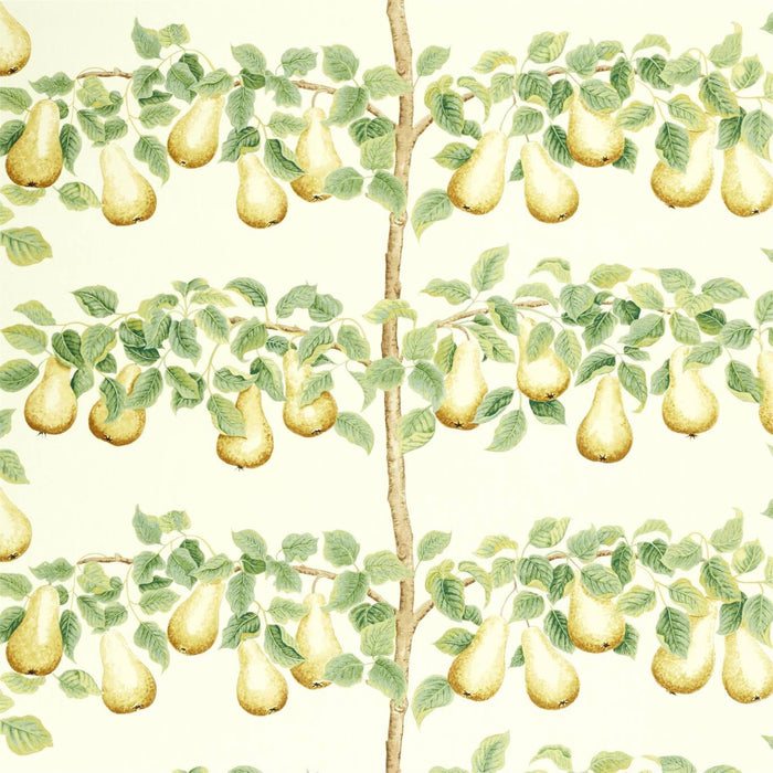 Sanderson Perry Pears Ochre/Leaf Green 226735 Fabric Sample DNTF226735