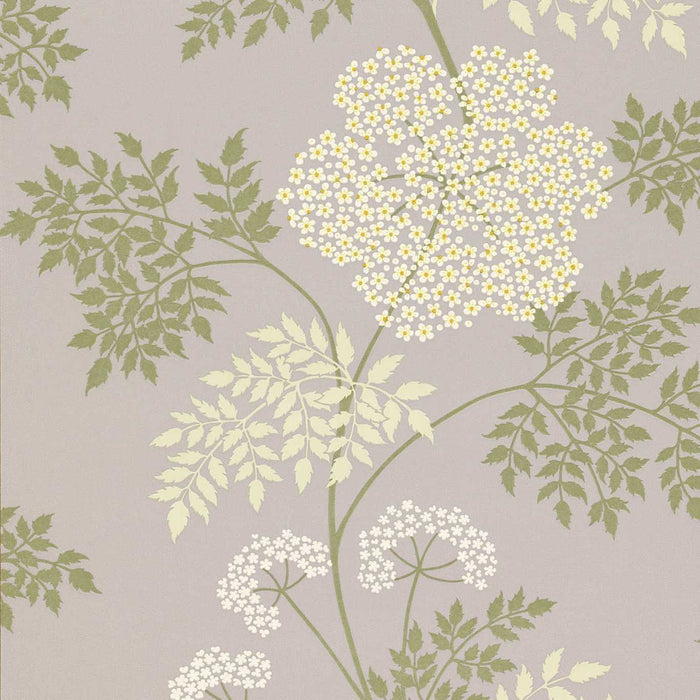 Sanderson Cowparsley Amethyst CO103 Wallpaper Sample DOPWCO103