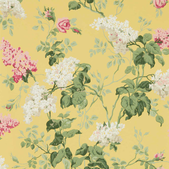 Sanderson Sommerville Carmen/Daffodil 217051 Wallpaper Sample DOSW217051