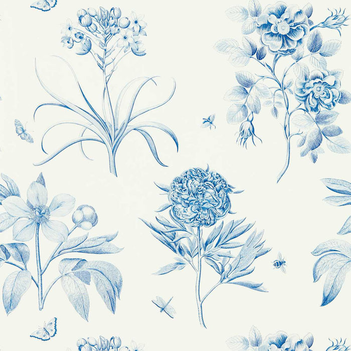 Sanderson Etchings & Roses China Blue 217052 Wallpaper Sample DOSW217052