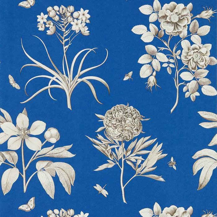 Sanderson Etchings & Roses French Blue 217053 Wallpaper Sample DOSW217053