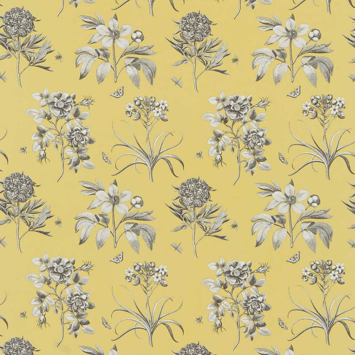 Sanderson Etchings & Rose Empire Yellow ET204 Fabric Sample DPFPET204