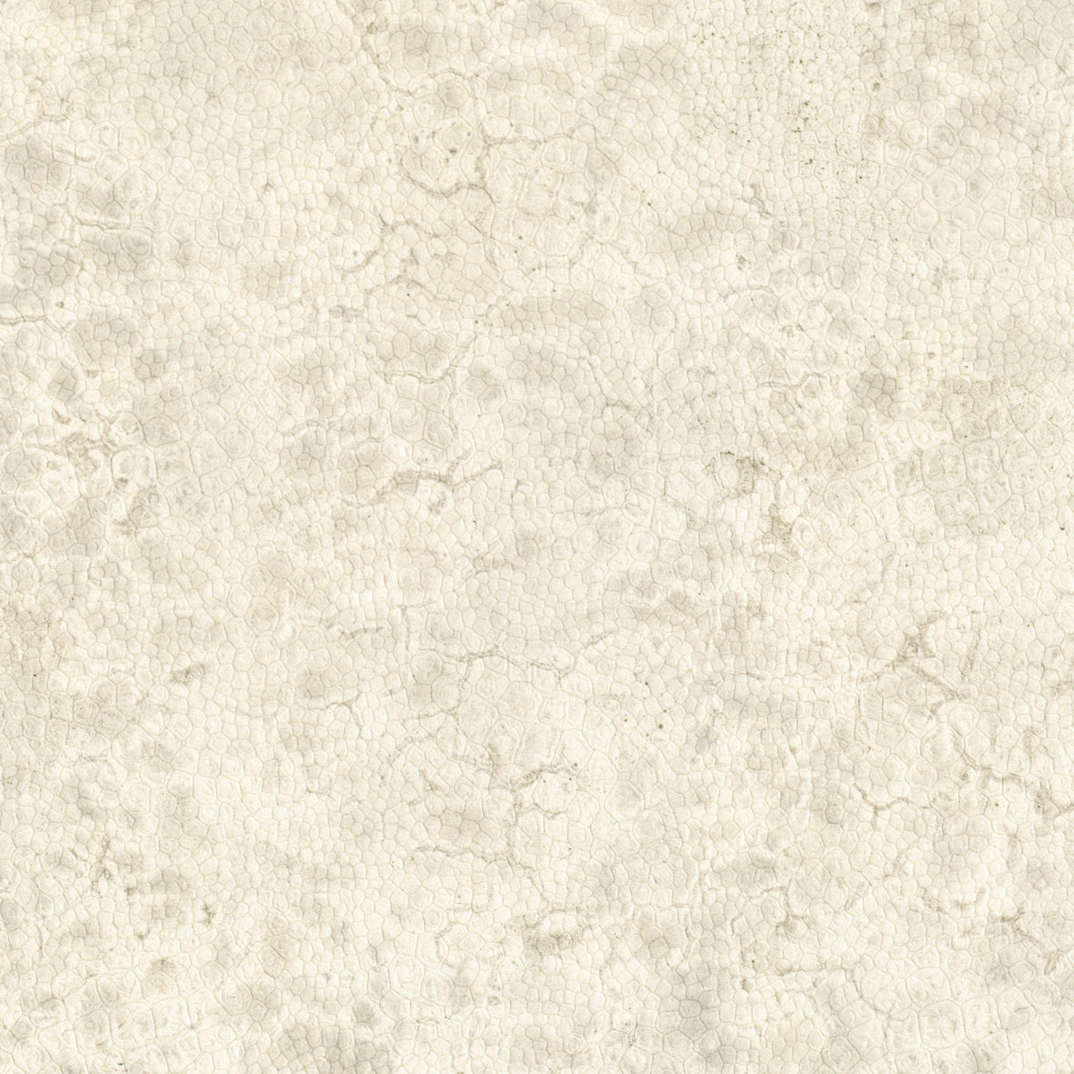 Nobilis Moon 21 Wallpaper Sample DPN21