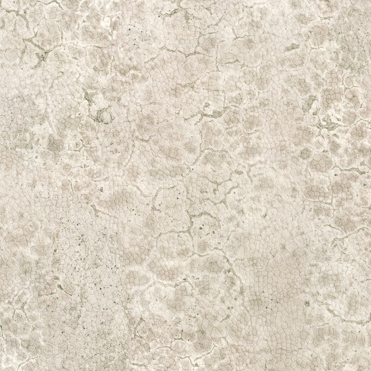 Nobilis Moon 22 Wallpaper Sample DPN22