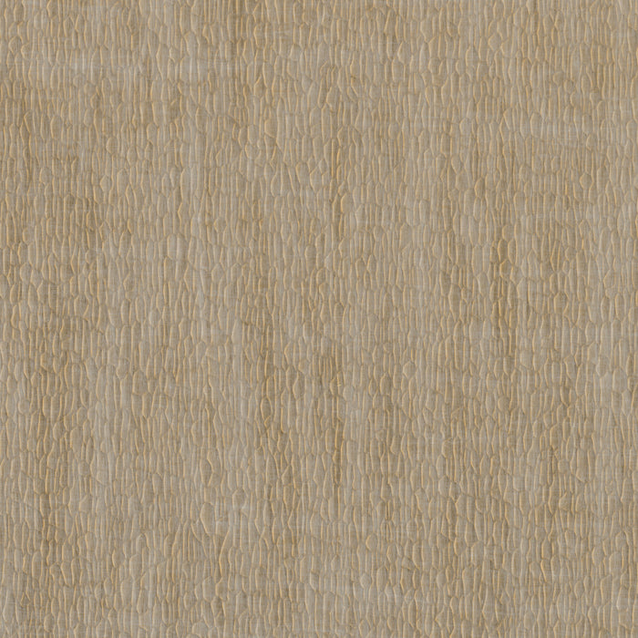 Nobilis Gouge 61 Wallpaper DPN61