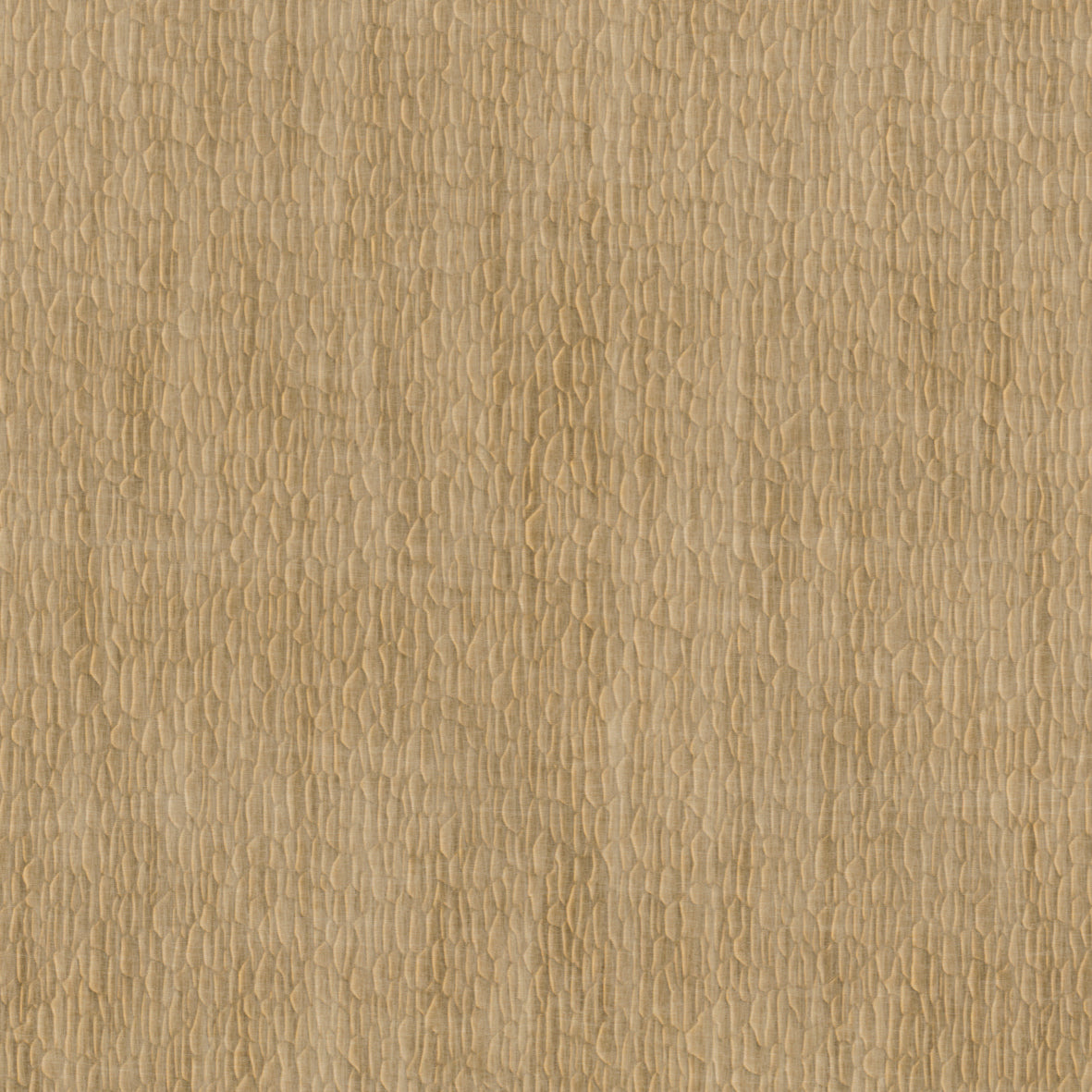 Nobilis Gouge 62 Wallpaper Sample DPN62