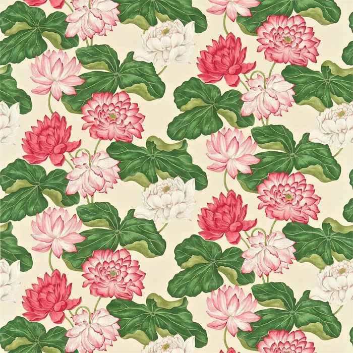 Sanderson Kew Strawberry/ Buttermilk 222060 Fabric Sample DRCH222060