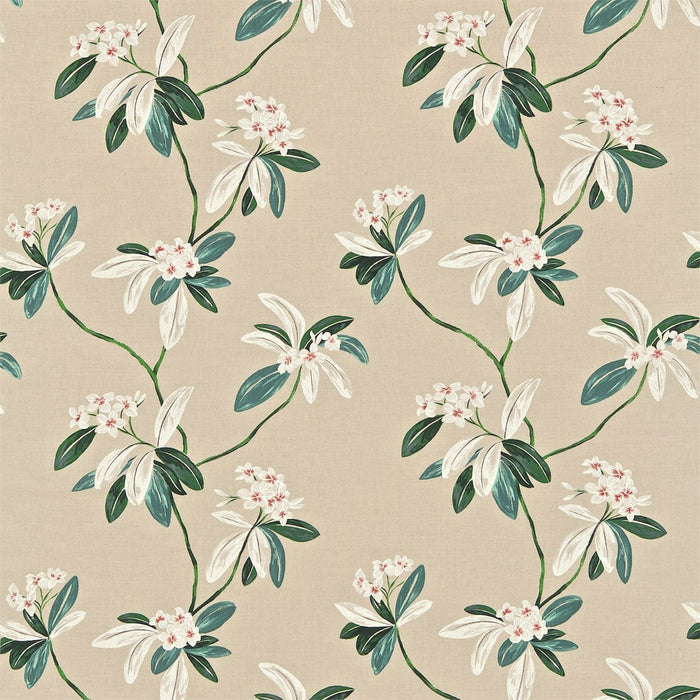 Sanderson Oleander Coral/ Cream 222083 Fabric Sample DRCH222083