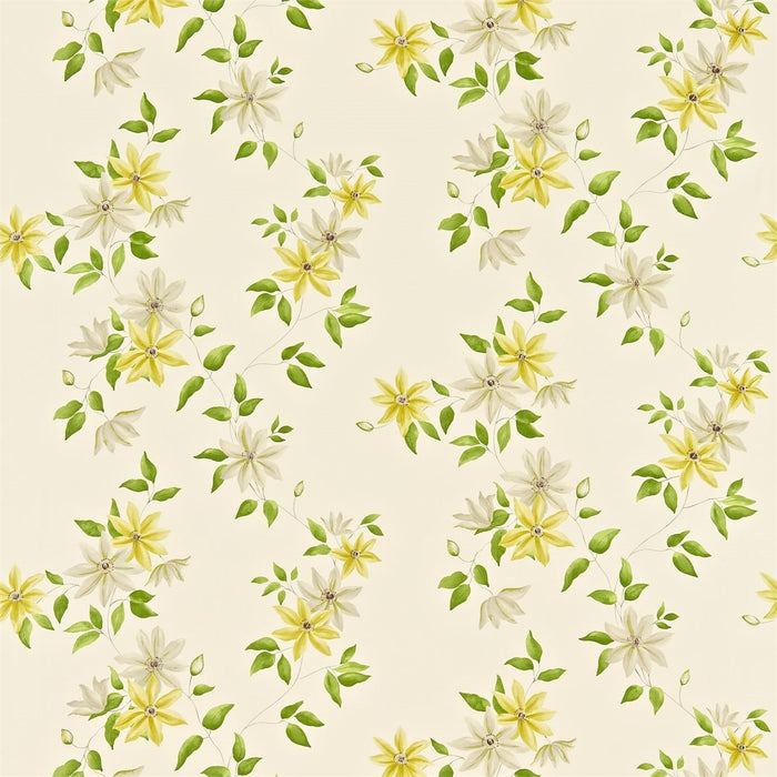 Sanderson Wisley Primrose/ Cream 222084 Fabric Sample DRCH222084