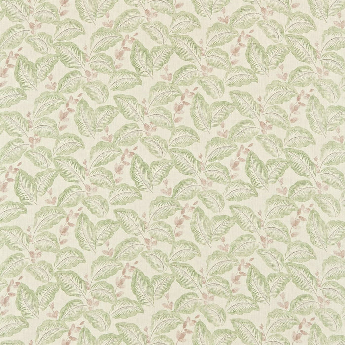 Sanderson Box Hill Moss/ Cream 222090 Fabric Sample DRCH222090