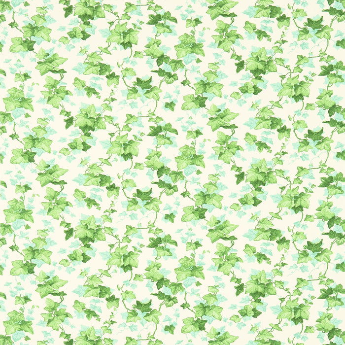 Sanderson Hedera Green 224336 Fabric Sample DVIN224336