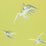 Sanderson Swallows Lime SW101 Wallpaper Sample DVIWSW101