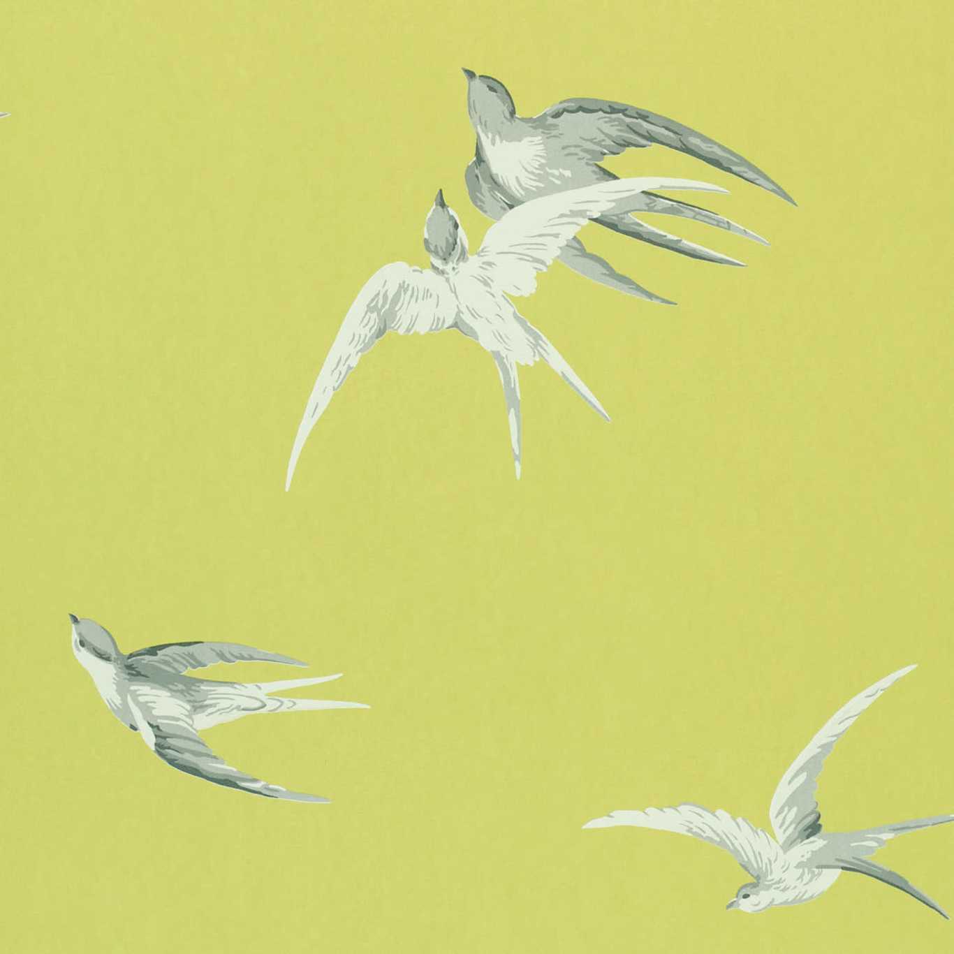 Sanderson Swallows Lime SW101 Wallpaper Sample DVIWSW101