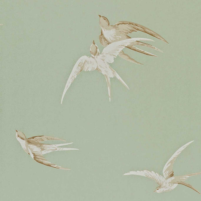 Sanderson Swallows Pebble SW102 Wallpaper Sample DVIWSW102