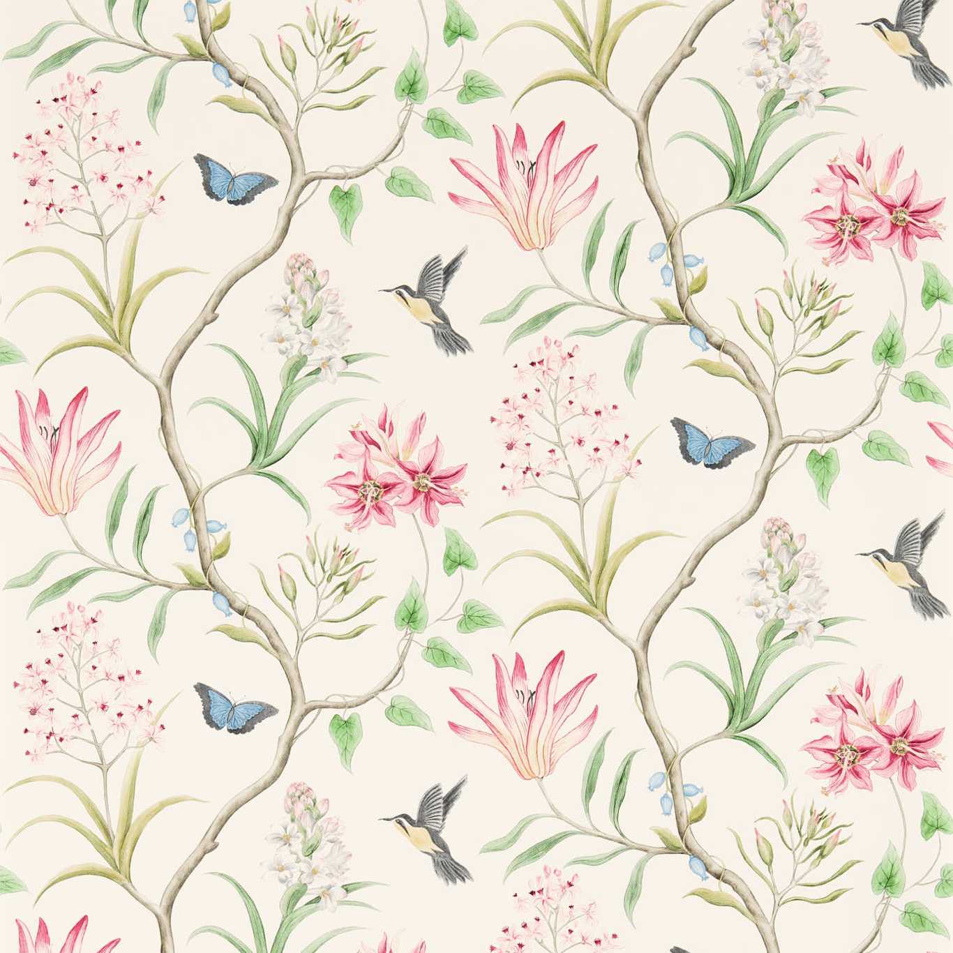 Sanderson Clementine Chintz 213388 Wallpaper Sample DVOY213388