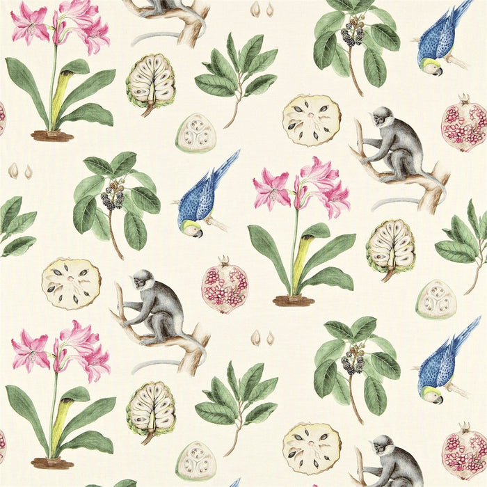 Sanderson Capuchins Chintz 223273 Fabric Sample DVOY223273