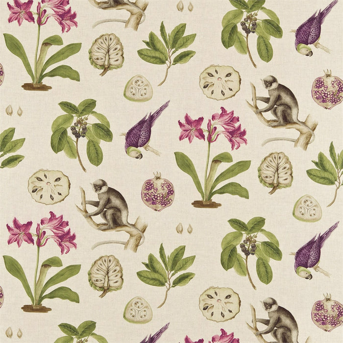 Sanderson Capuchins Boysenberry 223274 Fabric Sample DVOY223274