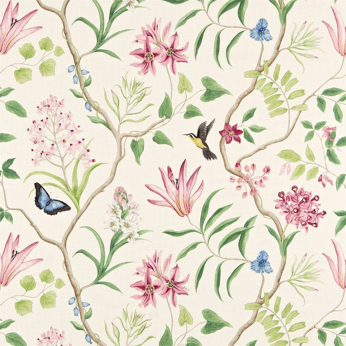 Sanderson Clementine Chintz 223298 Fabric Sample DVOY223298