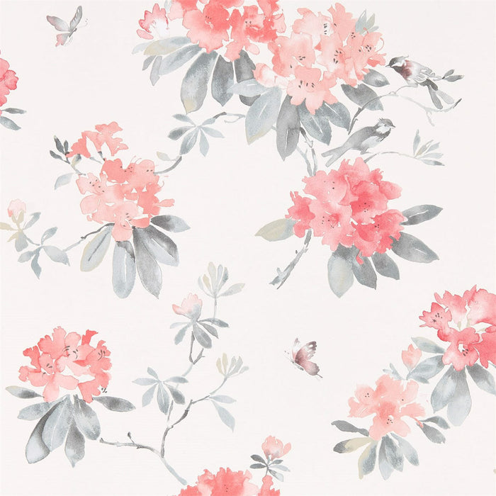 Sanderson Rhodera Coral/Grey 216264 Wallpaper Sample DWAP216264