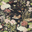 Sanderson Crane & Frog Ink Black/Multi 217123 Wallpaper Sample DWAW217123