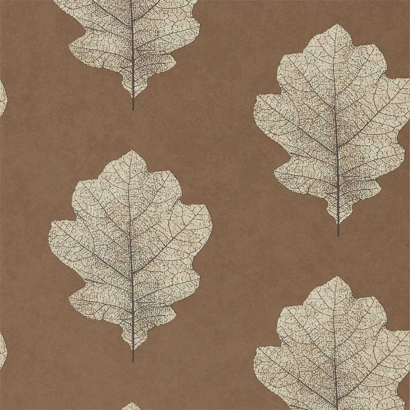 Sanderson Oak Filigree Copper/Graphite 215701 Wallpaper Sample DWOW215701