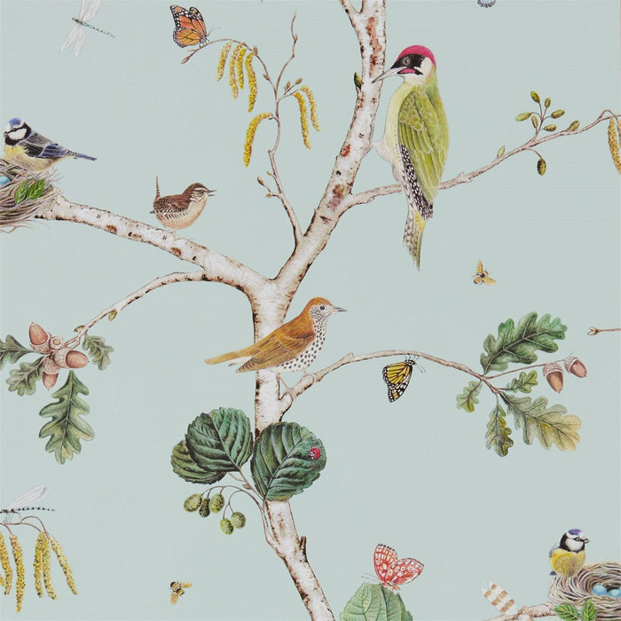 Sanderson Woodland Chorus Sky Blue/Multi 215706 Wallpaper Sample DWOW215706