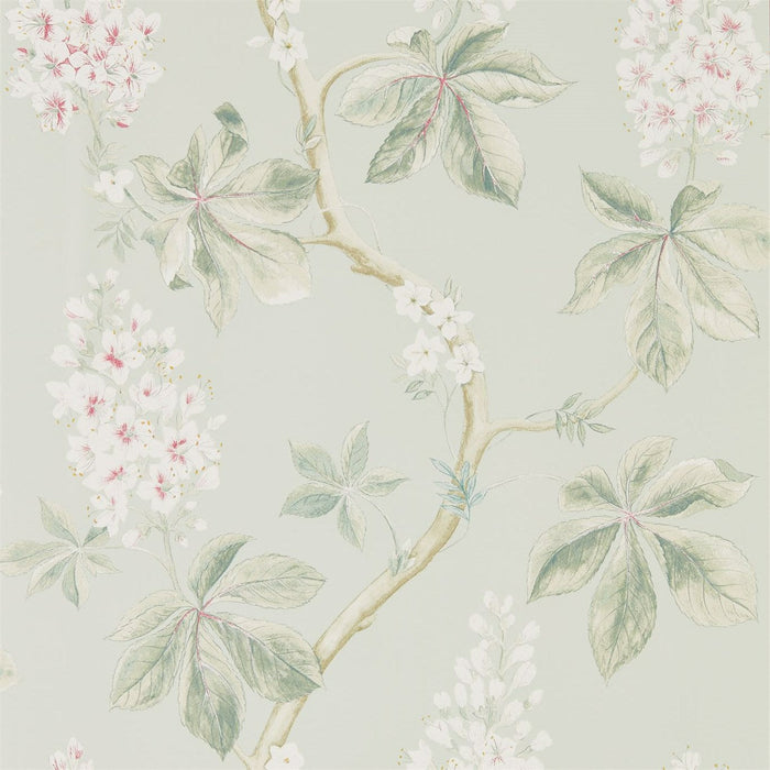 Sanderson Chestnut Tree Seaspray/Peony 215710 Wallpaper Sample DWOW215710