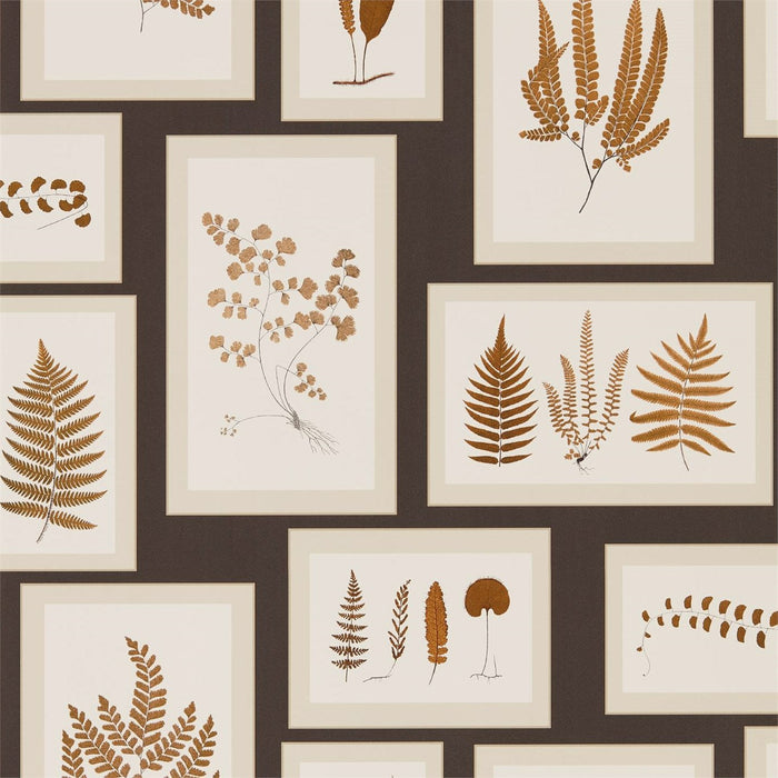 Sanderson Fern Gallery Charcoal/Spice 215713 Wallpaper Sample DWOW215713