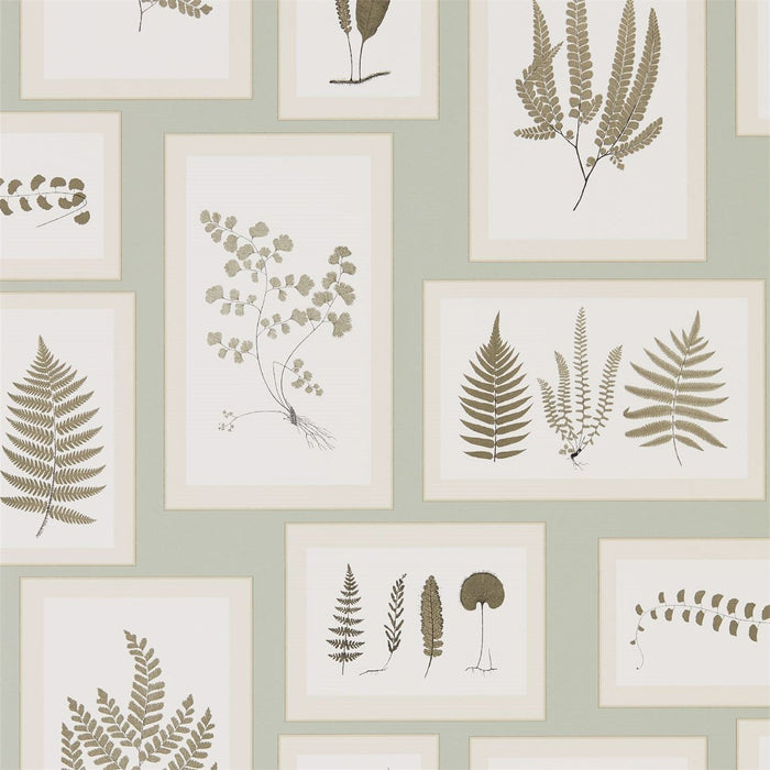 Sanderson Fern Gallery Blue/Sepia 215715 Wallpaper Sample DWOW215715