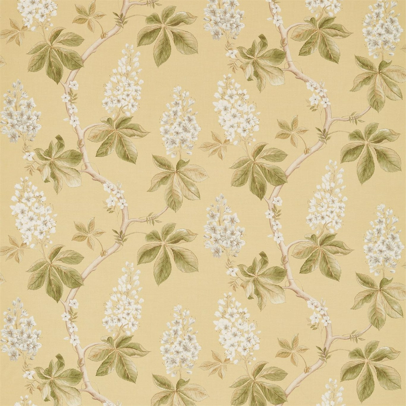 Sanderson Chestnut Tree Lemon/Lettuce 225516 Fabric Sample DWOW225516