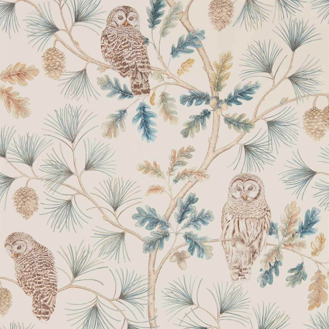 Sanderson Owlswick Teal 216595 Wallpaper Sample DYSI216595